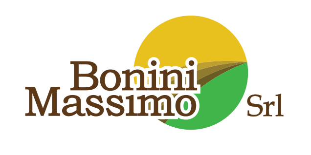 Bonini Massimo Srl